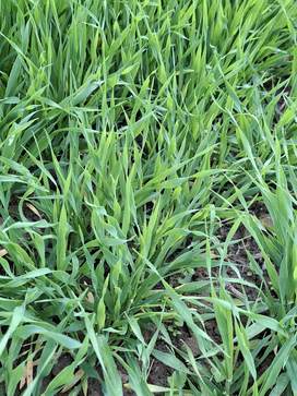 [1776163180549326.jpg]