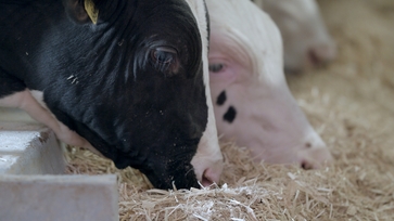 [1776756053963950.jpg]