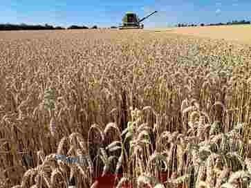 [1776776644028413.jpg]