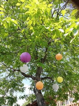 [177684635412674.jpg]