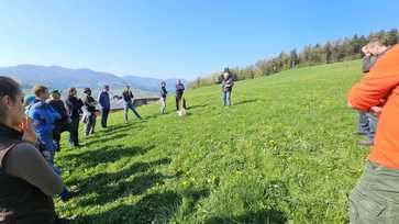 [1776850108234590.jpg]