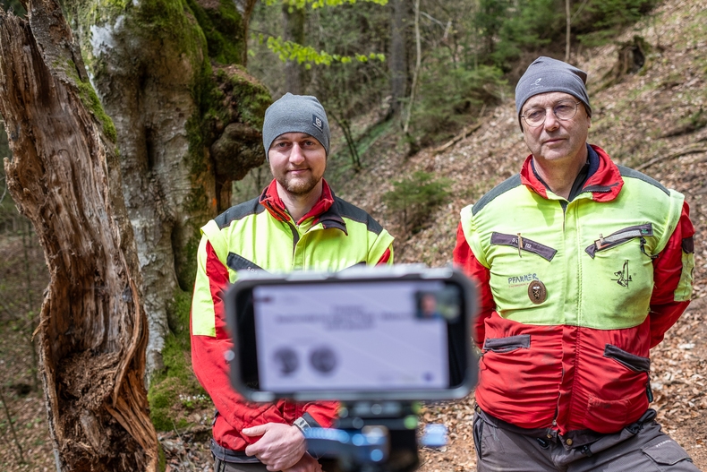 LFI-Farminar Biodiversität im eigenen Wald - Maßnahmen leicht gemacht.jpg LFI-Farminar Biodiversität im eigenen Wald - Maßnahmen leicht gemacht.jpg