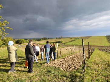 [1777456182494263.jpg]