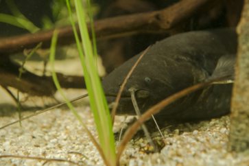 [1777470026319692.png]