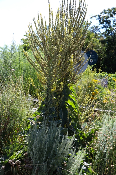HP IMG 4827.jpg