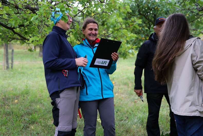 hp IMG 4999.jpg