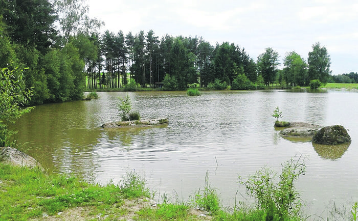 [1409301986431424_1.jpg]