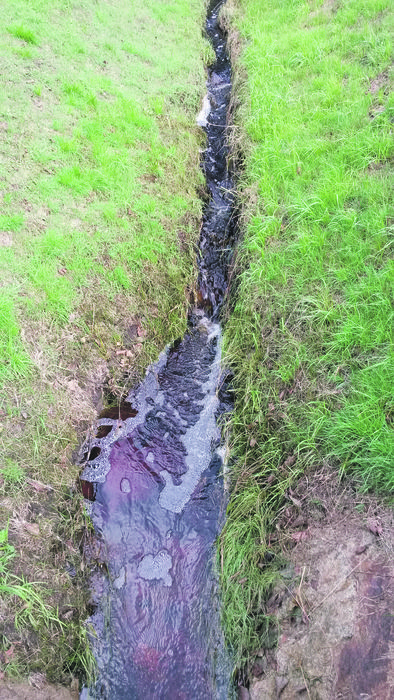 [1475482455726778_1.jpg]