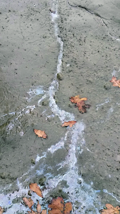 [1475482464977687_1.jpg]