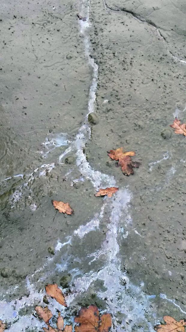 [1475482464977687_7.jpg]