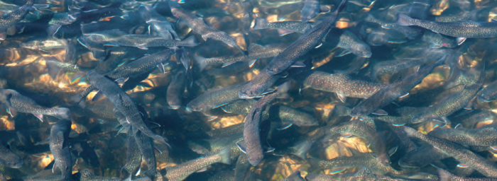 [1518693683670960_1.png]