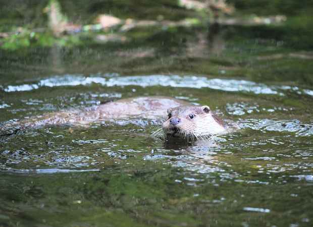 [1557393199999429_7.jpg]