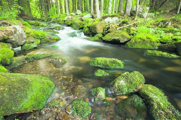 [1559560725936514_7.jpg]