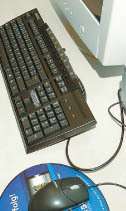 Computer.jpg © Gerhard Pfabigan