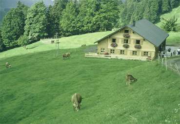 Bauernhof mit Grünflächen.jpg © LK Vorarlberg
