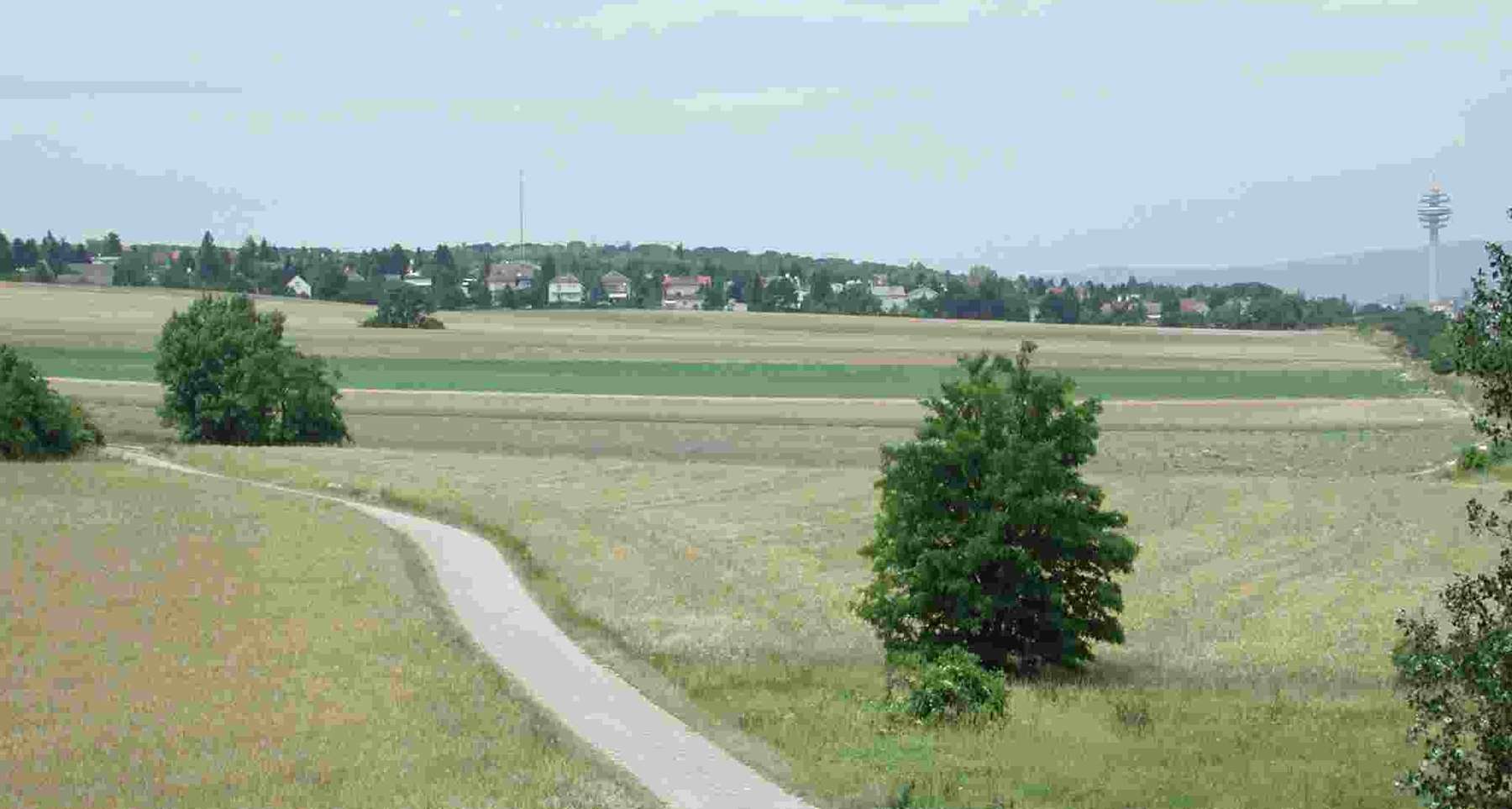 Getreidefelder.jpg © DI Georg Pernkopf