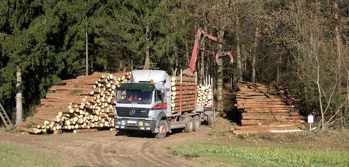 Holztransport.jpg © DI Arnold