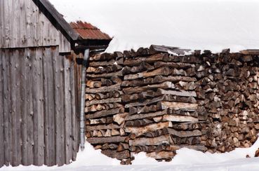 Brennholz-Stapel 2.jpg.jpg © LK Niederösterreich