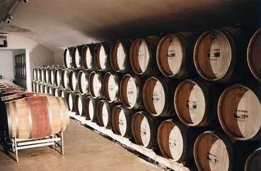 Weinkeller.jpg.jpg © LK Niederösterreich