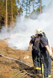 Waldbrand.jpg © LK Vorarlberg