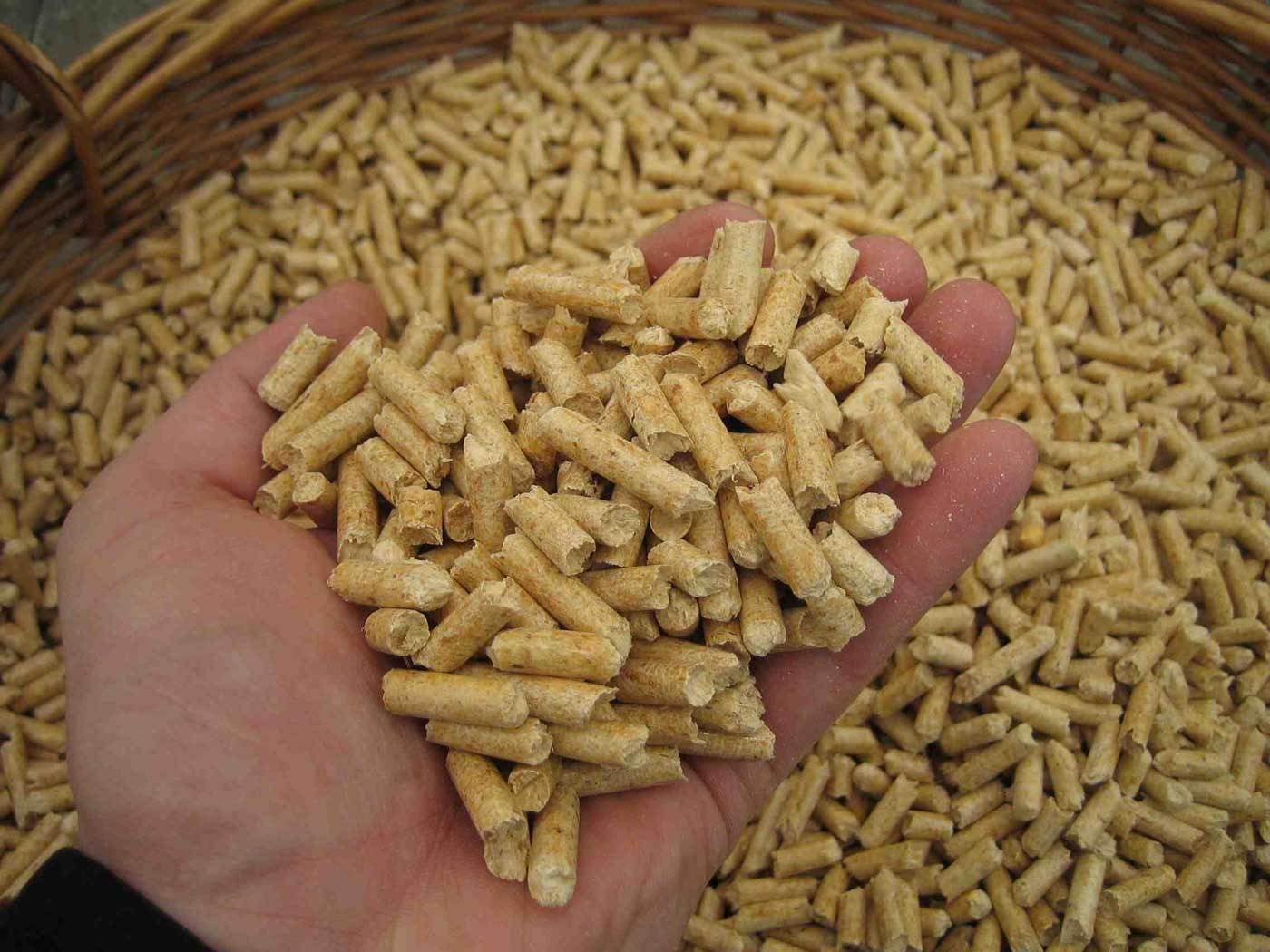 Pellets.jpg.jpg © ÖKL