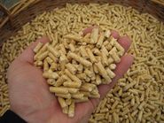 Pellets.jpg.jpg © ÖKL