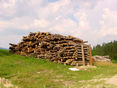 Brennholzstoß.jpg © LK NÖ