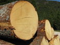 Holz aus OÖ Wäldern © DI Albert Steinegger