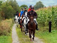 Reiten © LK Oberösterreich