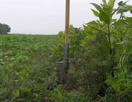 © Archiv © Archiv