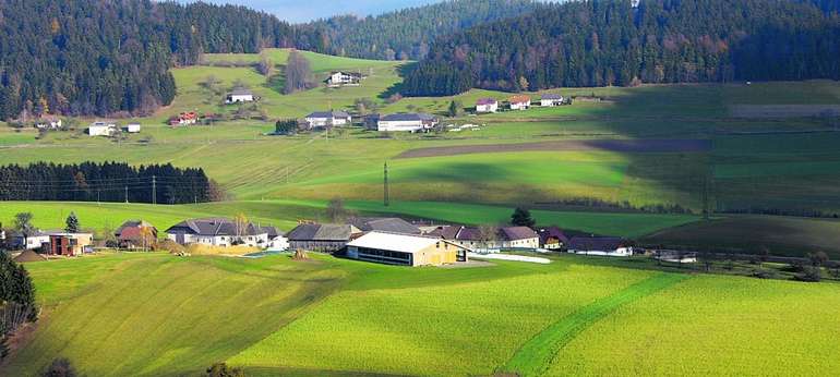 © Redaktion  Der Bauer © Redaktion  Der Bauer