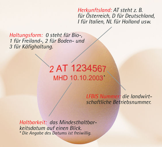 EinzeleikennzeichnungErklärung - AMA - 07 08.jpg © AMA EinzeleikennzeichnungErklärung - AMA - 07 08.jpg © AMA