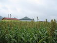 Biogasanlage1 © LK NO/Swoboda