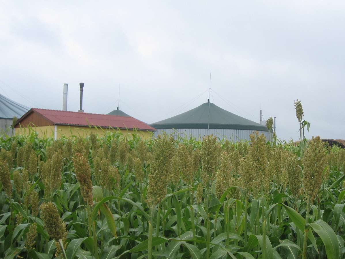 Biogasanlage1.jpg © LK NO/Swoboda