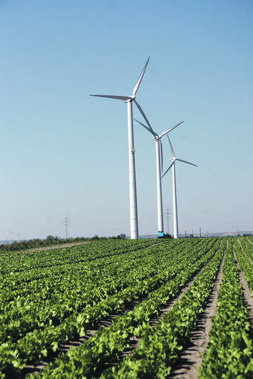 Windkraftwerke.jpg © Archiv