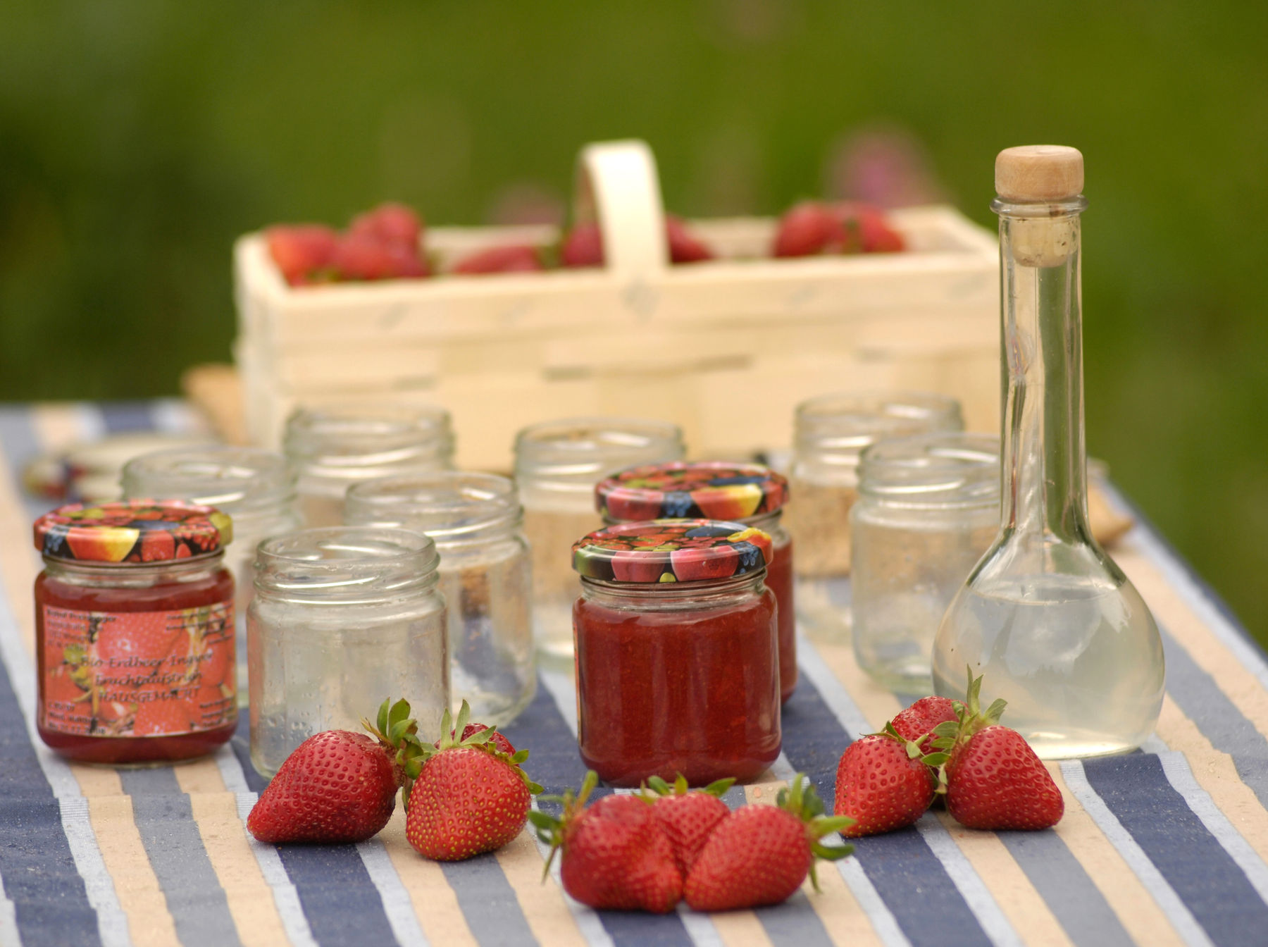 erdbeeren mit marmelade bmlfuw.jpg © Archiv