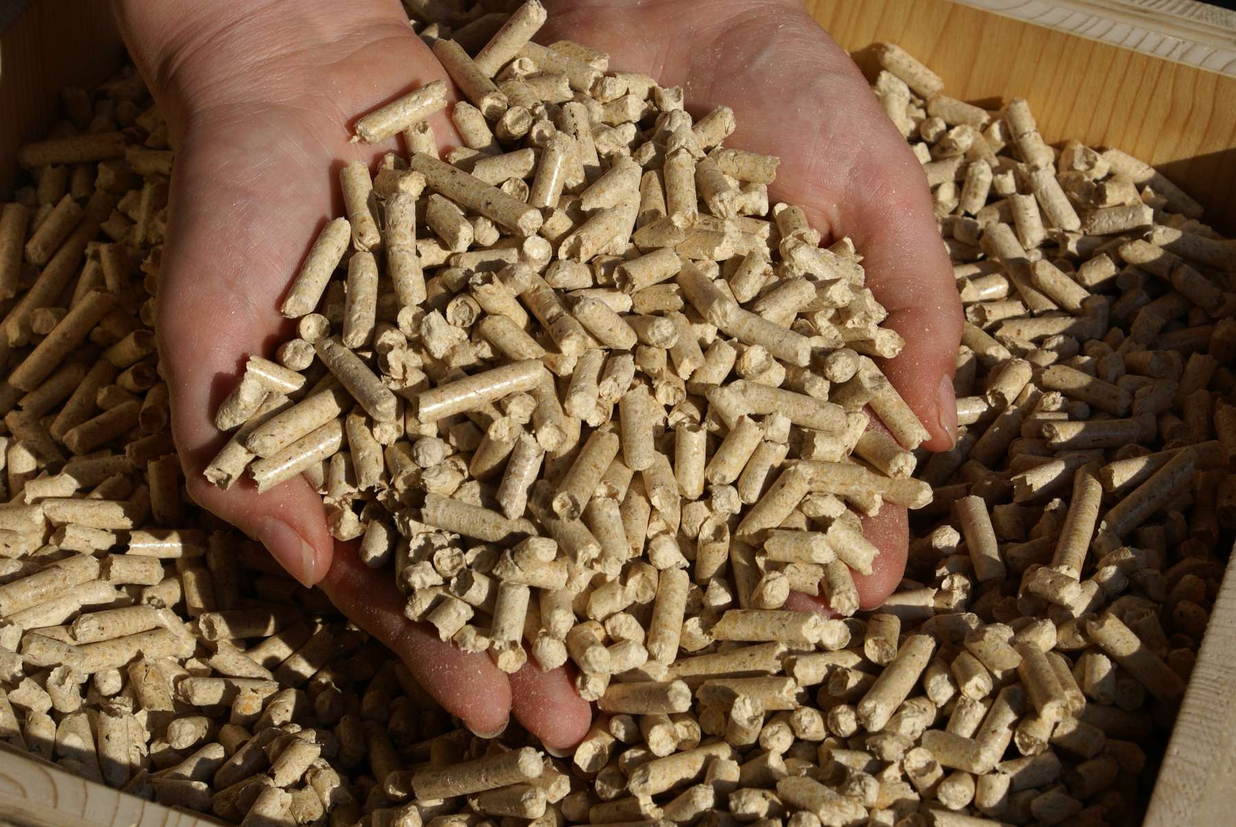 Pellets.jpg © LK NÖ/Furtner