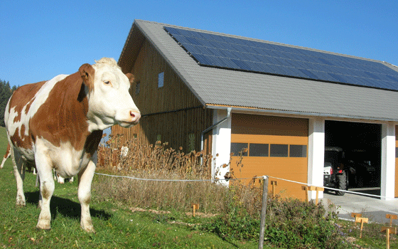 Energieautarker Bauernhof.gif © LK OÖ Energieautarker Bauernhof.gif © LK OÖ