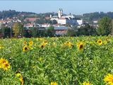  © BWSB/Friedl