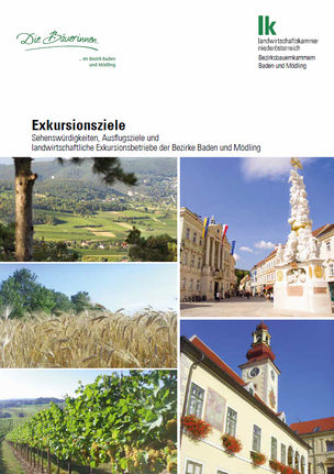 [1507709679598246.jpg]