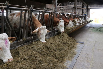 [jpegs.php?filename=%2Fvar%2Fwww%2Fmedia%2Fimage%2F2018.05.08%2F1525771950323193.jpg]