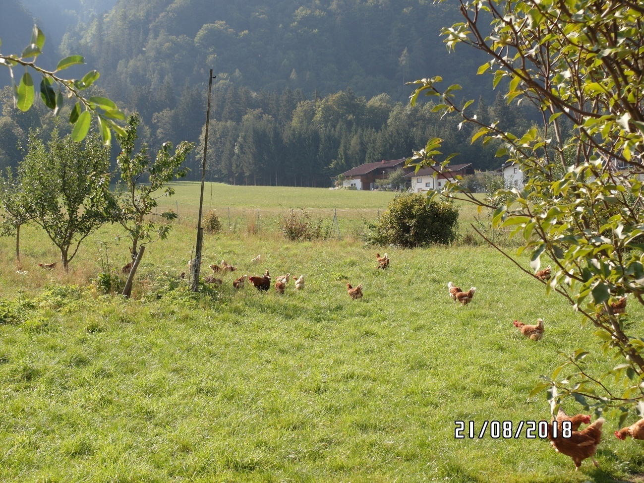 Kindergeburtstag Sport Spiel Kimapa
