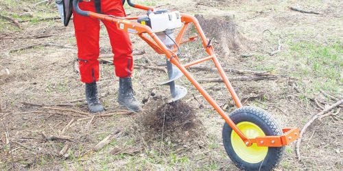 Aufforstung Von Der Pflanzung Bis Zum Schutz