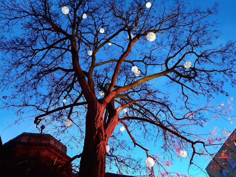 2019 Adventfahrt ©&nbsp;Die Bäuerinnen. ... im Grbiert Tullnerfeld