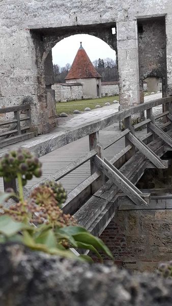2019 Adventfahrt ©&nbsp;Die Bäuerinnen. ... im Grbiert Tullnerfeld