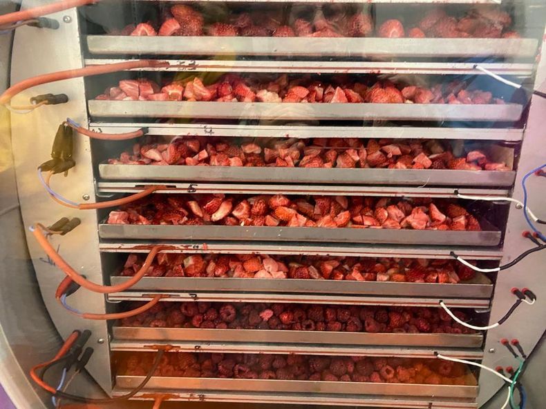 2019 Adventfahrt ©&nbsp;Die Bäuerinnen. ... im Grbiert Tullnerfeld