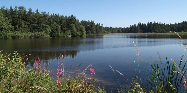 Gaisbachteich.jpg © Florian Kainz/Archiv Aqua