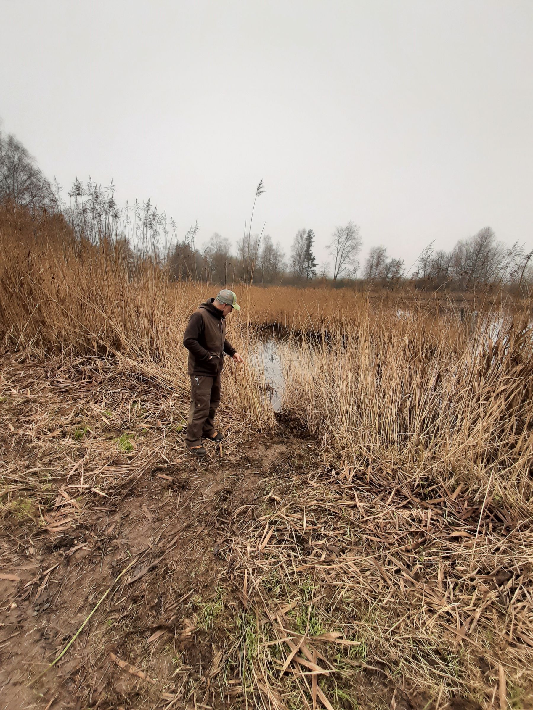 Biberrutsche am Teich (c) Leo Kirchmaier.jpg