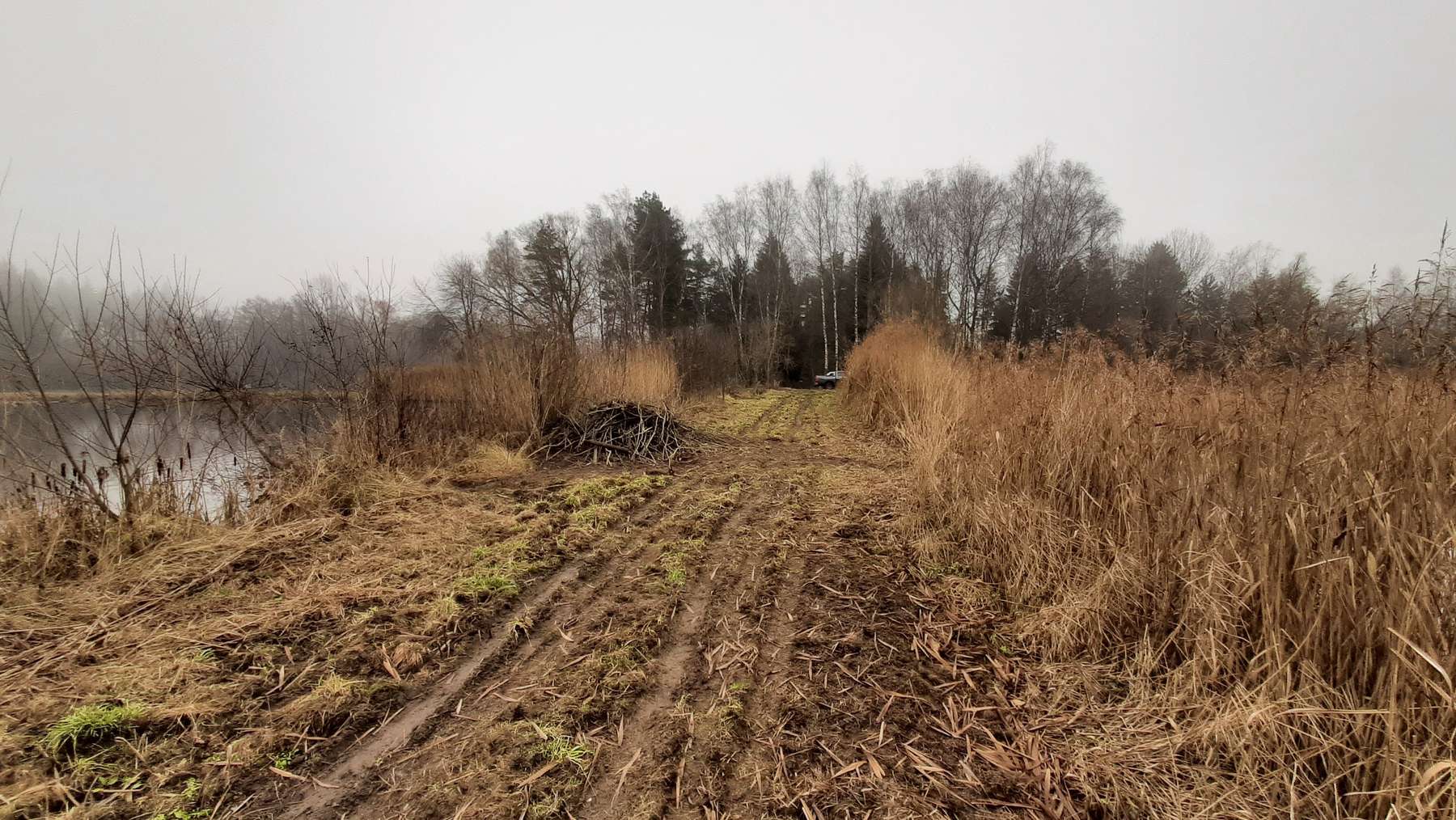 Biberburg am Teichdamm zwischen zwei Teichen (c) Leo Kirchmaier.jpg © Leo Kirchmaier/LK NÖ Biberburg am Teichdamm zwischen zwei Teichen (c) Leo Kirchmaier.jpg © Leo Kirchmaier/LK NÖ