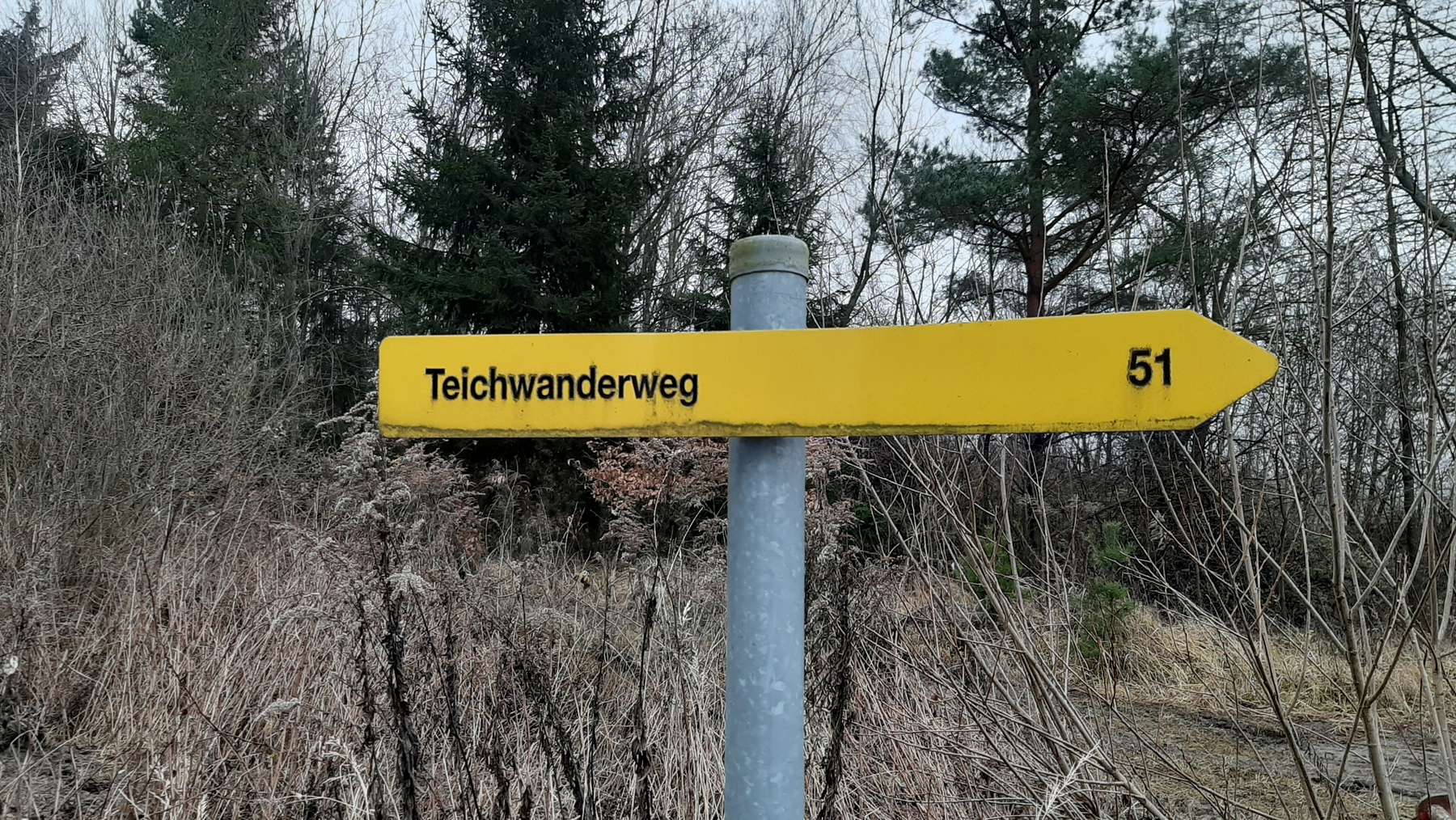 Teichwanderweg (c) Leo Kirchmaier.jpg